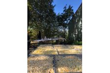 Photo de Chá Camélia Photo de Chá Camélia