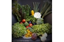 Photo de ChuchuBio Photo de ChuchuBio