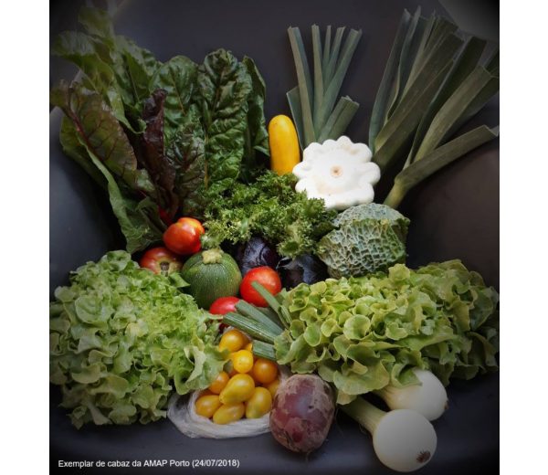 Photo de ChuchuBio Photo de ChuchuBio