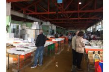 Photo de Criée aux poissons à Matosinhos | Tous les matins sauf dimanche et lundi – Fermeture à 10h30 Photo de Criée aux poissons à Matosinhos | Tous les matins sauf dimanche et lundi – Fermeture à 10h30