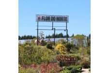 Photo de Flor do Norte Photo de Flor do Norte