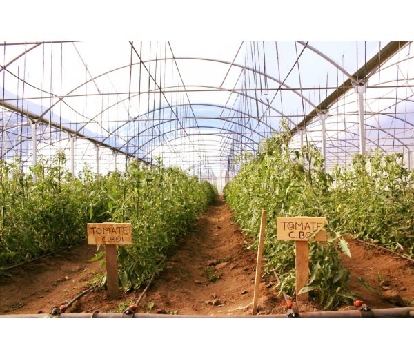 Photo de Hortalegre Photo de Hortalegre