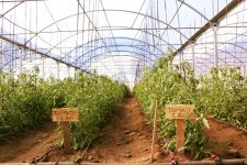 Photo de Hortalegre Photo de Hortalegre