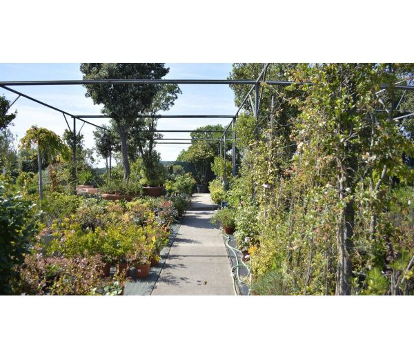 Photo de Horto da Boavista Photo de Horto da Boavista