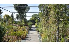 Photo de Horto da Boavista Photo de Horto da Boavista