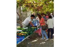 Photo de Marché Bio du Parque da Cidade | Tous les samedis matins Photo de Marché Bio du Parque da Cidade | Tous les samedis matins