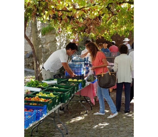 Photo de Marché Bio du Parque da Cidade | Tous les samedis matins Photo de Marché Bio du Parque da Cidade | Tous les samedis matins