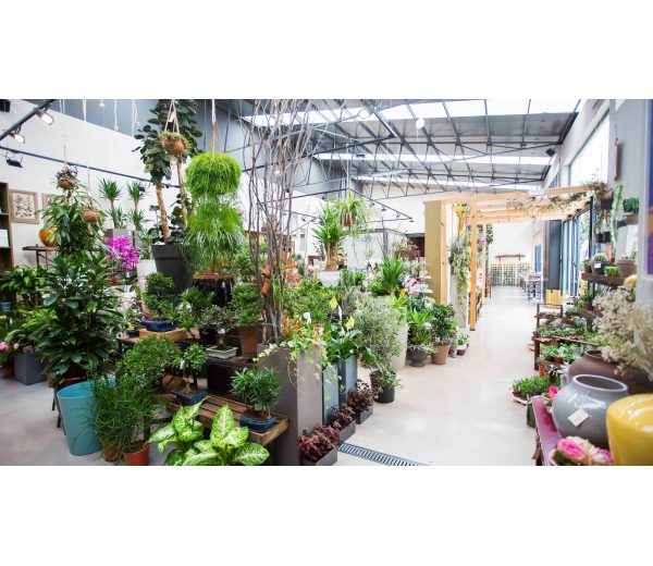 Photo de Terrárea Photo de Terrárea