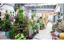 Photo de Terrárea Photo de Terrárea