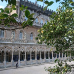 Rando dans la forêt de Bussaco