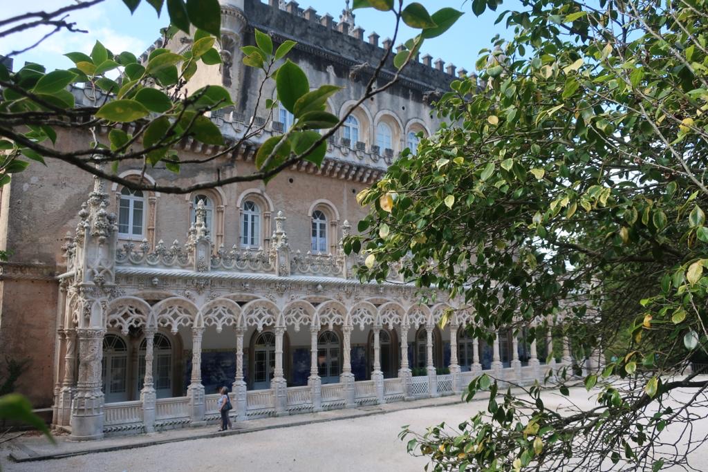 Rando dans la forêt de Bussaco