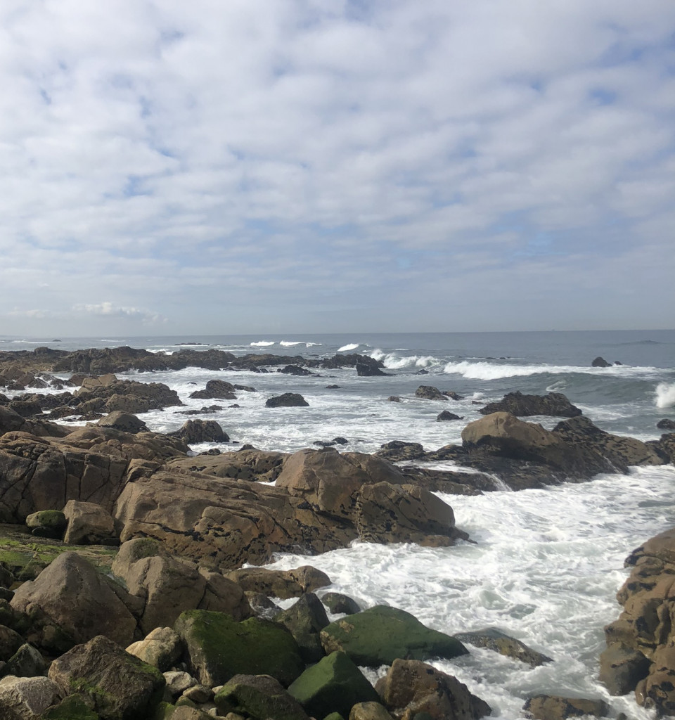 Slow Balade géologique à Foz do Douro