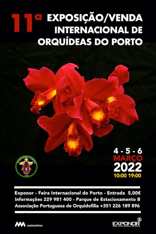 11ème expo/vente internationale d'orchidées de Porto